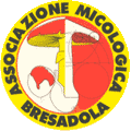 Logo dell'Associazione Micologica Bresadola