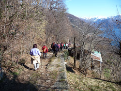 Lungo la Via delle Genti da Intra a Cannobio: il sentiero che da Donego scende a Cannero