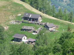 Val Cannobina: l'Alpe Pluni