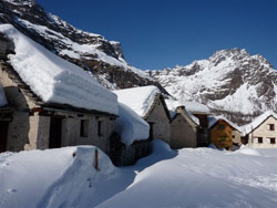 Con il CAI Verbano a Devero sul Monte Cazzola: baite a Devero cariche di neve