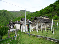 Il CAI Verbano in Ossola sulla Via dei Torchi e dei Mulini: il villaggio di Anzuno 