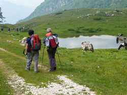 Con il CAI Verbano e CAI Schio alle Piccole Dolomiti: di ritorno al Pian delle Fugazze in un incantevole paesaggio