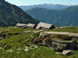 Il CAI Verbano in alta Val Bognanco: l'Alpe Variola di Sopra