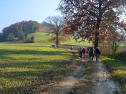 Il CAI Verbano nelle colline del Monferrato con il CAI di Casale Monferrato: escursionisti tra i tratturi che delimitano i campi lavorati