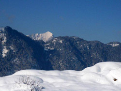 Ciaspolata con il CAI Verbano Altoggio – Giovera inferiore, sullo sfondo il monte Leone