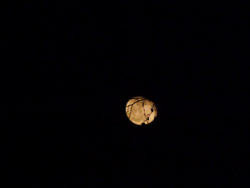 Ciaspolata sotto la luna al Monte Spalavera con il CAI Verbano: la luna gioca a nascondino dietro i rami