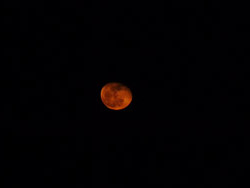 Ciaspolata sotto la luna al Monte Spalavera con il CAI Verbano: ecco la luna che arriva di rosso vestita