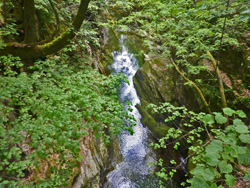 Il CAI Verbano in Val Cannobina con la Pro Valle: il torrente Cannobino, che nasce dalla Cima della Laurasca, fotografato dal Ponte Tea