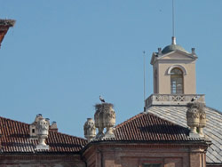 CAI Verbano: percorsi cicloescursionistici di Racconigi - cicogne sui tetti del castello