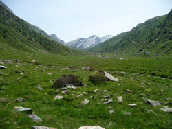 CAI Verbano - escursione alpinistica all'Adula in Canton Ticino: la lunga Valle Carassino