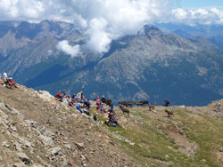 CAI Verbano - Mont Fallère (Valle d’Aosta): sosta con gruppo allargato