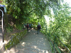 CAI Verbano - Trekking nel Parco di Portofino con il CAI Frascati: pedonale di 1000 gradini che conduce a Punta Chiappa