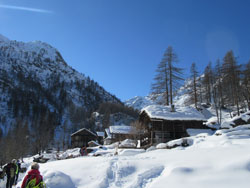 CAI Verbano: con le ciaspole all'Alpe Larecchio (Val Vogna - Val Sesia): le case Walser di Peccia