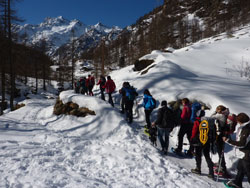 CAI Verbano: con le ciaspole all'Alpe Larecchio (Val Vogna - Val Sesia): sul sentiero verso Peccia
