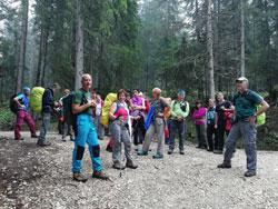 CAI Verbano - Trekking in Dolomiti: nella pineta verso Santa Croce in Badia