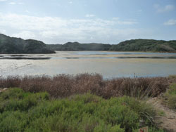 CAI Verbano - Minorca e il Camì de Cavalls: Parc Natural de s'Albufera des Grau