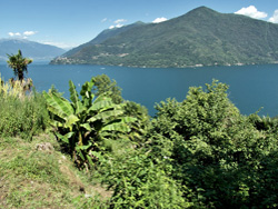 CAI Verbano - le Frazioni di Cannobio: panorama del Lago Maggiore