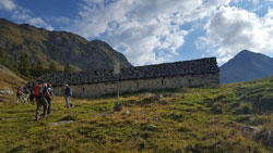 CAI Verbano: Valle Vigezzo - Lago Panelatte e laghetti di Muino: uno degli stalloni all'Alpe I Motti