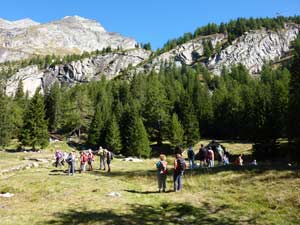 CAI Verbano - Macugnaga Pecetto - Alpi Fluh-Bill-Sonobierg-Meccia - Staffa: il gruppo all'Alpe Bill