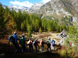 CAI Verbano - Valle Antrona, Campliccioli, alpi Lareccio e Lombraoro: all'Alpe Larciero 
