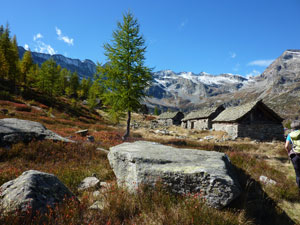 CAI Verbano - Valle Antrona, Campliccioli, alpi Lareccio e Lombraoro: all'Alpe Lareccio