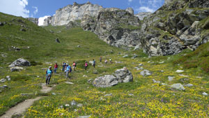 CAI Verbano - Monte Roisetta Punta Sud (m 3324) da Cheneil in Valtournenche: tra prati fioriti