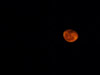 Ciaspolata sotto la luna al Monte Spalavera con il CAI Verbano – 10 marzo 2012
