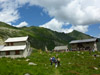 CAI Verbano: Alpe Cheggio - Rifugio Andolla, giro alto del lago dei Cavalli e Valle del Loranco insieme al CAI di Villadossola - 11 luglio 2021