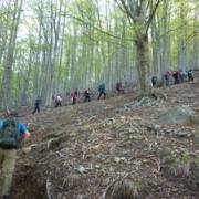 CAI Verbano: Valle Vigezzo - Val Loana - Testa del Mater - relazione escursione - 1 maggio 2022