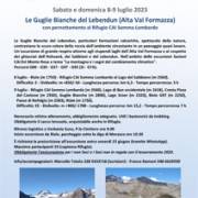 CAI Verbano: Le Guglie Bianche del Lebendun (Alta Val Formazza) con pernottamento al Rifugio CAI Somma Lombardo - 8-9 luglio 2023